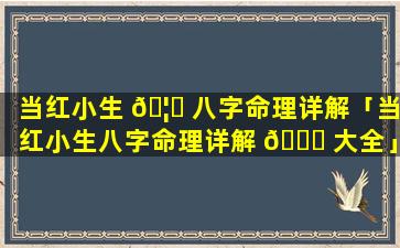 当红小生 🦆 八字命理详解「当红小生八字命理详解 🕊 大全」